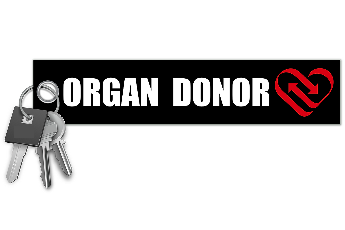KEYCHAIN - ORGAN DONOR